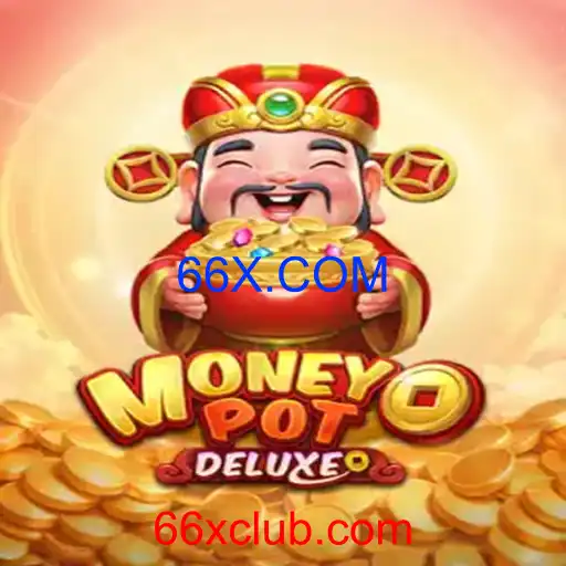 MoneyPotDELUXE